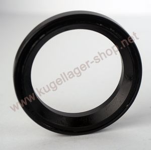 BO-MH-P22-Steuersatz-Kugellager