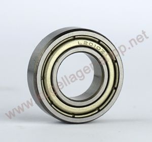 L2010Z Kugellager 10x20x6 mm (Sonderlager 20x10x6 mm) MR2010-ZZ
