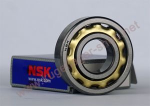 E20 / EN20 Schulterlager von NSK mit Messingkäfig und 11 Kugeln