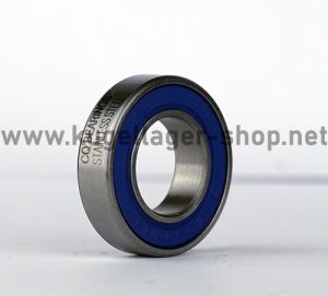 S6902 2RS V Edelstahl Kugellager 15 x 28 x 7 mm