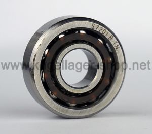 S7201 B TN / SS 7201 B TN (SS = Edelstahl rostfrei)