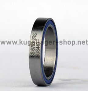 SS 61702 2RS Edelstahl-Rillenkugellager 21 x 15 x 4 mm