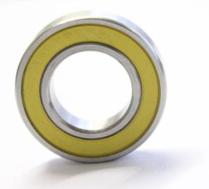 SS-C 18307 2RS (SMR 18307 Hybrid - Sonderlager 18mm)